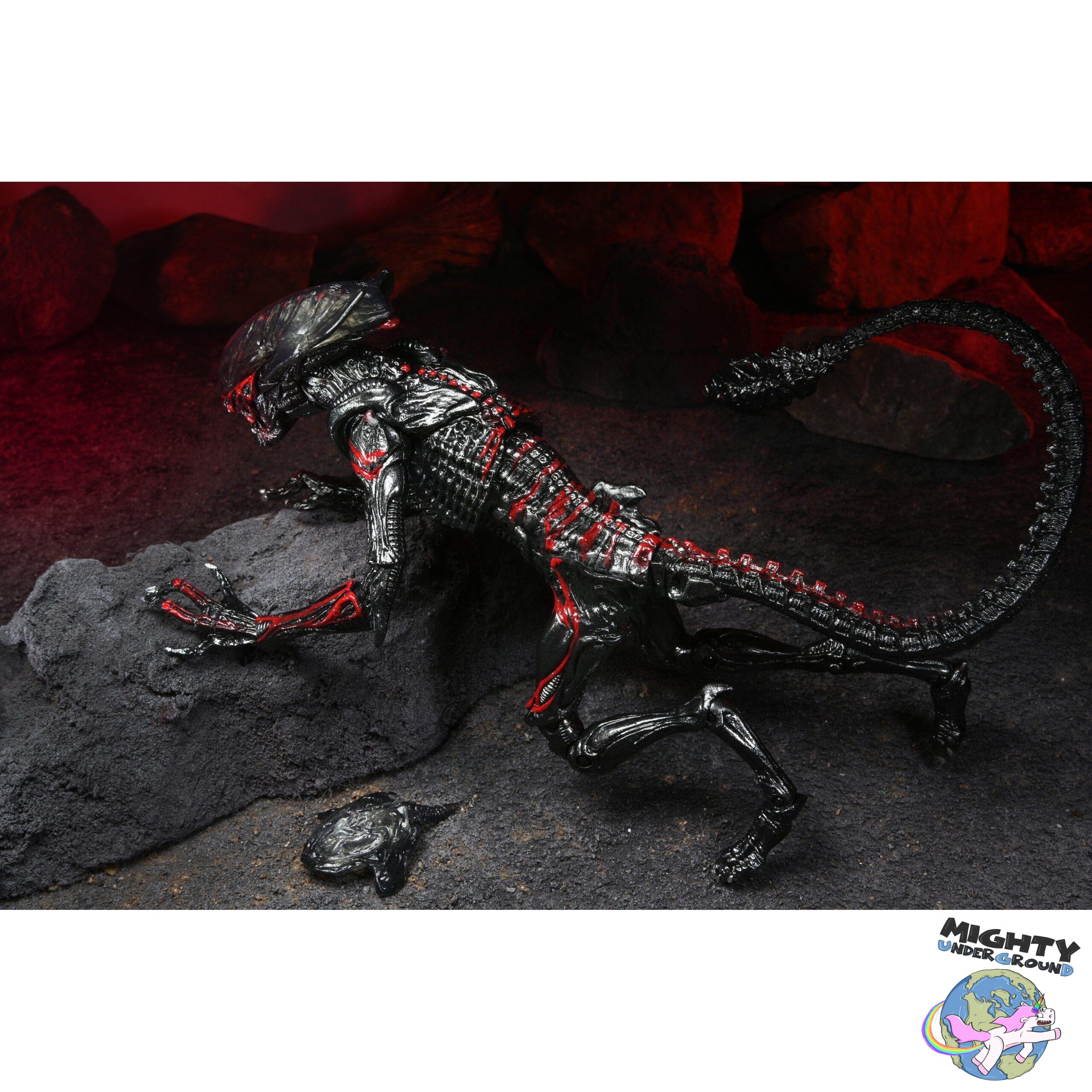 Aliens: Ultimate Night Cougar-Actionfiguren-NECA-Mighty Underground