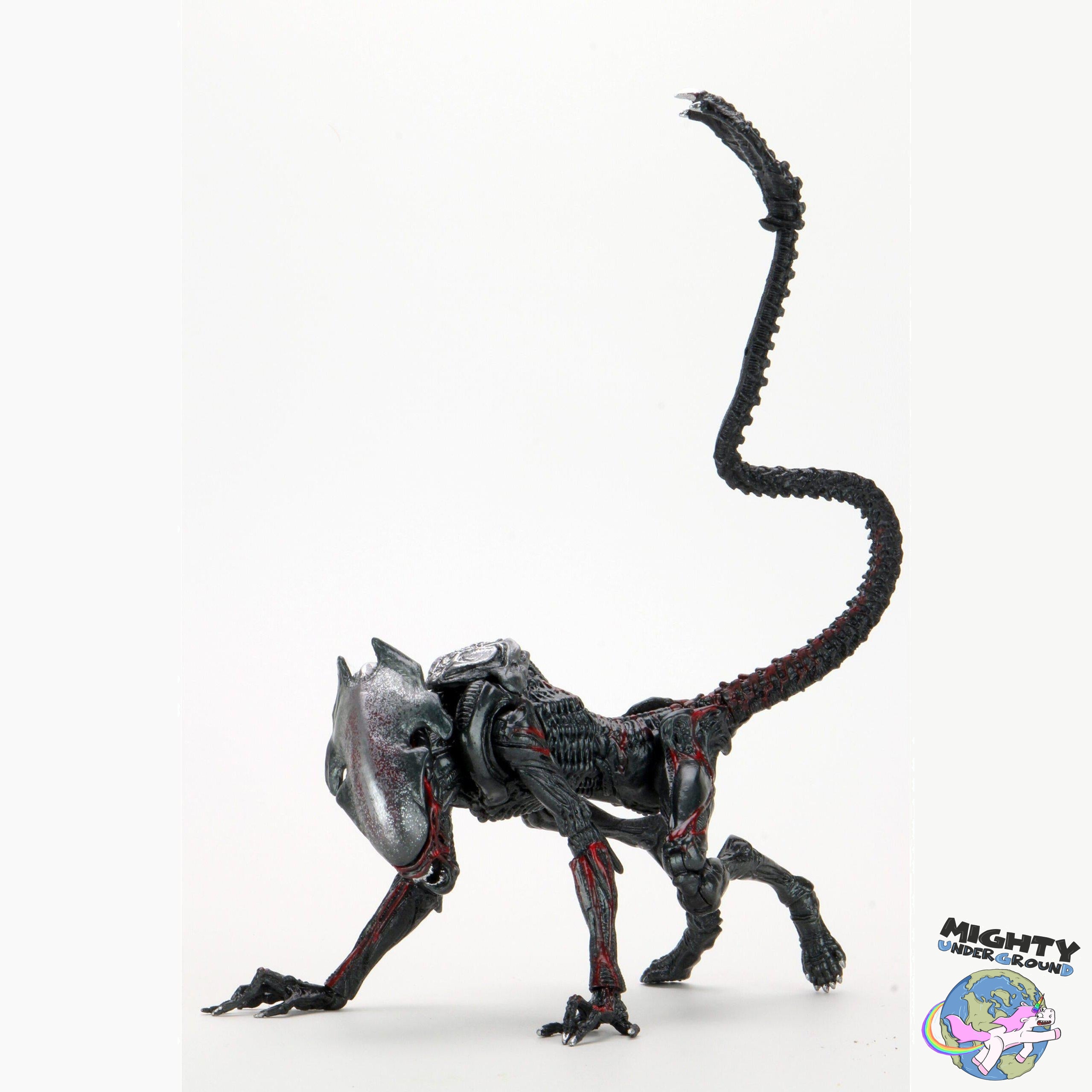 Aliens: Ultimate Night Cougar-Actionfiguren-NECA-Mighty Underground