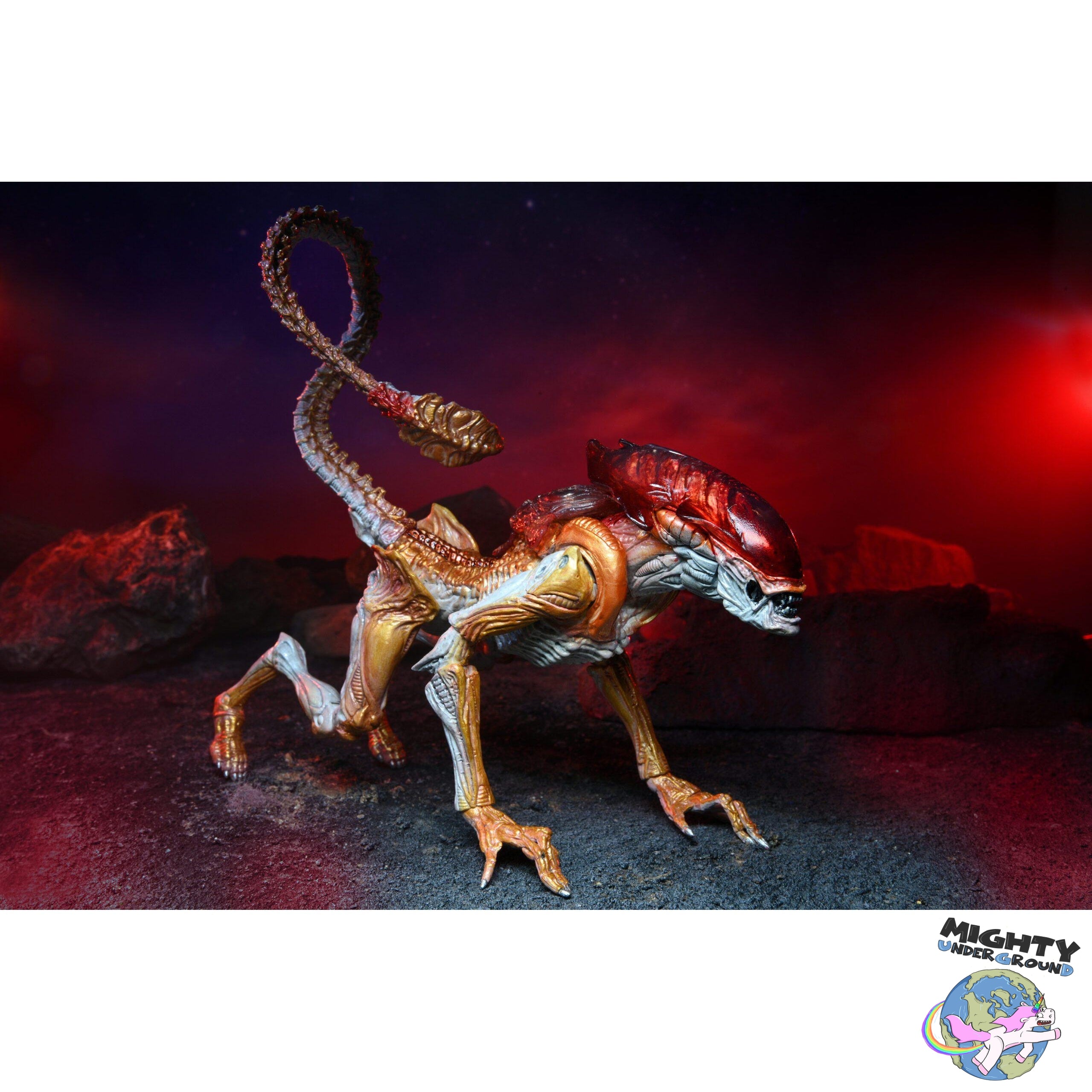 Aliens: Ultimate Panther-Actionfiguren-NECA-Mighty Underground