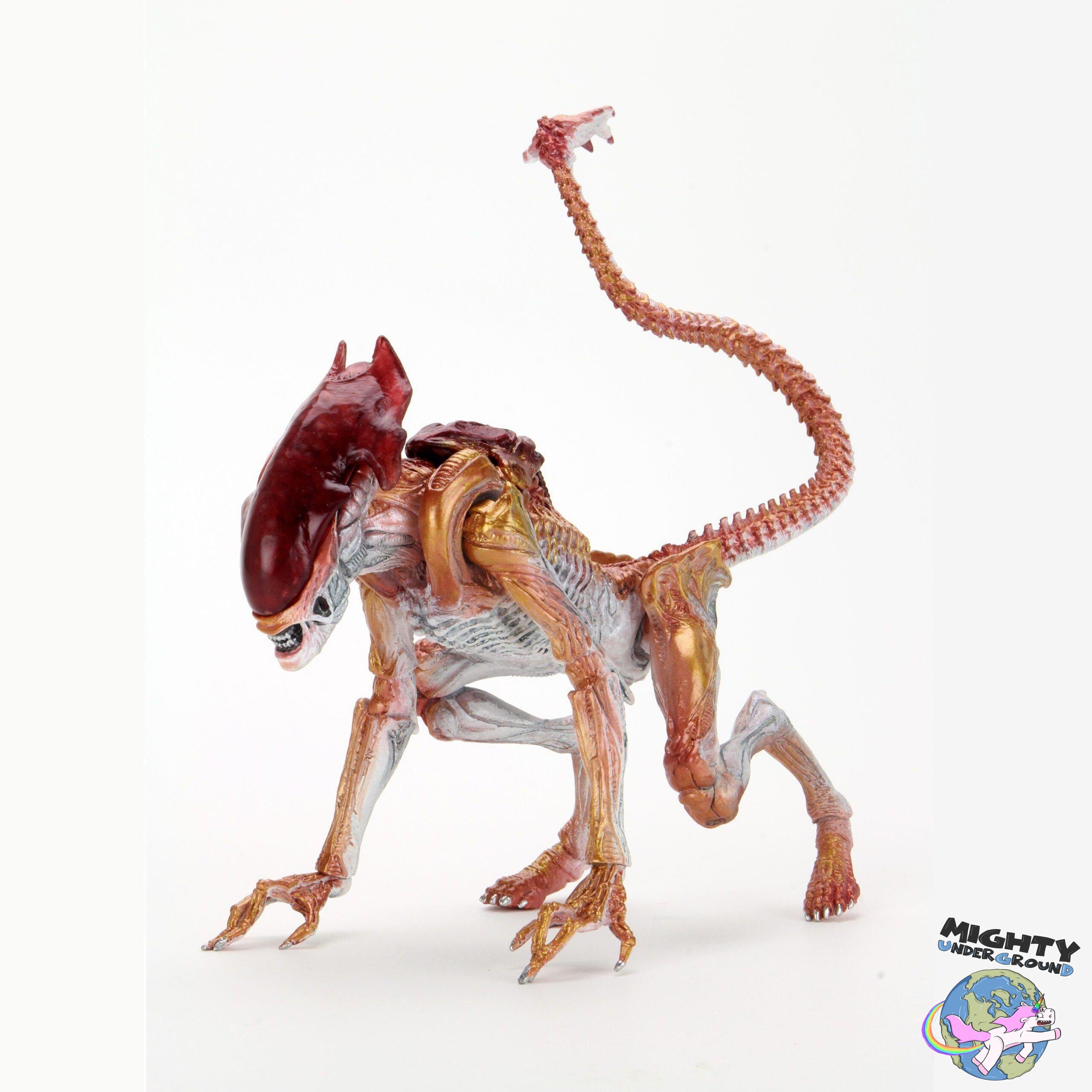 Aliens: Ultimate Panther-Actionfiguren-NECA-Mighty Underground