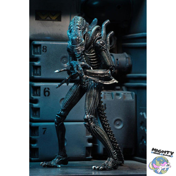 Aliens: Ultimate Warrior (Blue)-Actionfiguren-NECA-Mighty Underground