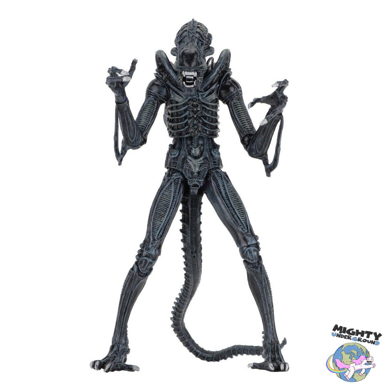 Aliens: Ultimate Warrior (Blue)-Actionfiguren-NECA-Mighty Underground