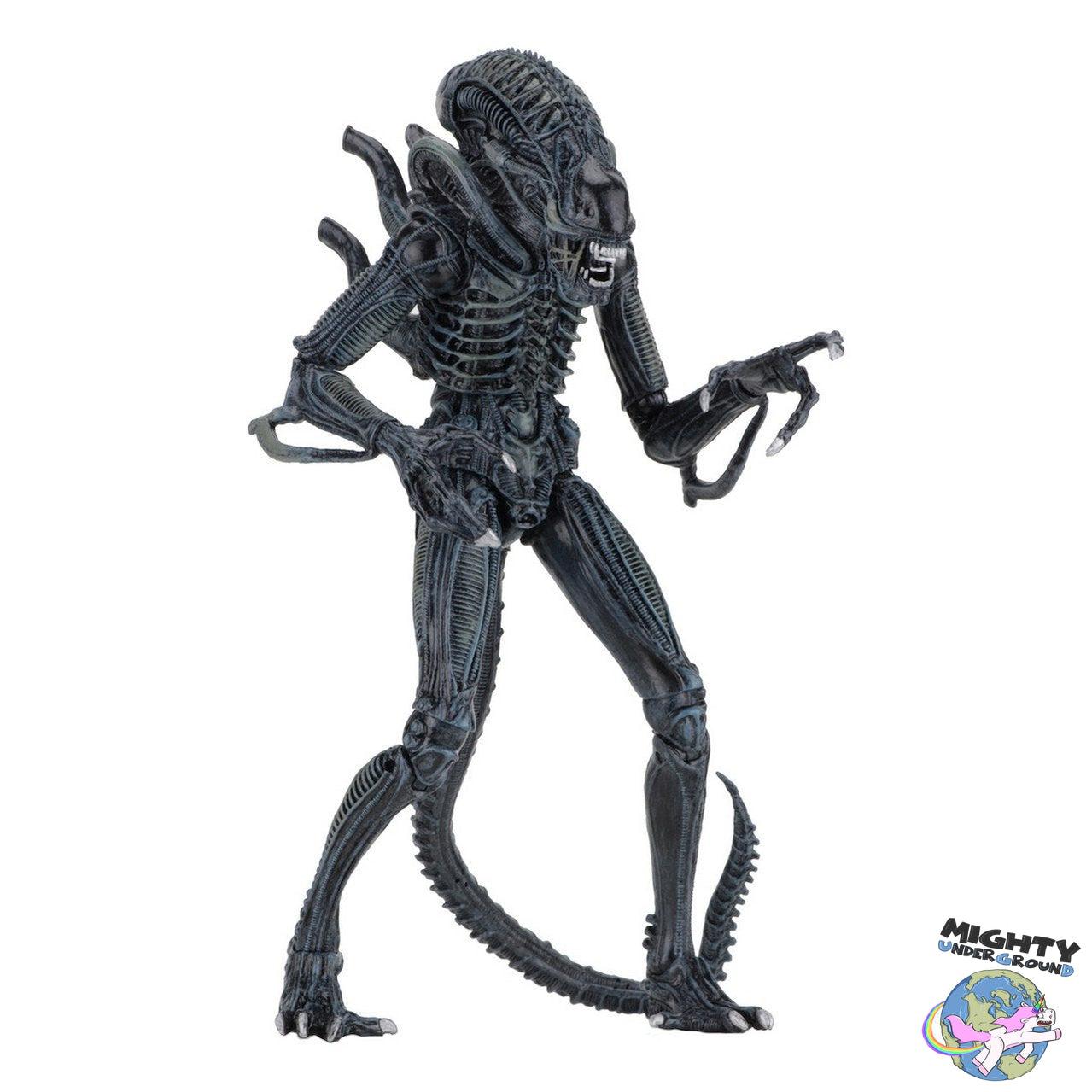 Aliens: Ultimate Warrior (Blue)-Actionfiguren-NECA-Mighty Underground