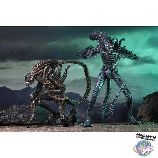 Aliens: Ultimate Warrior (Blue)-Actionfiguren-NECA-Mighty Underground