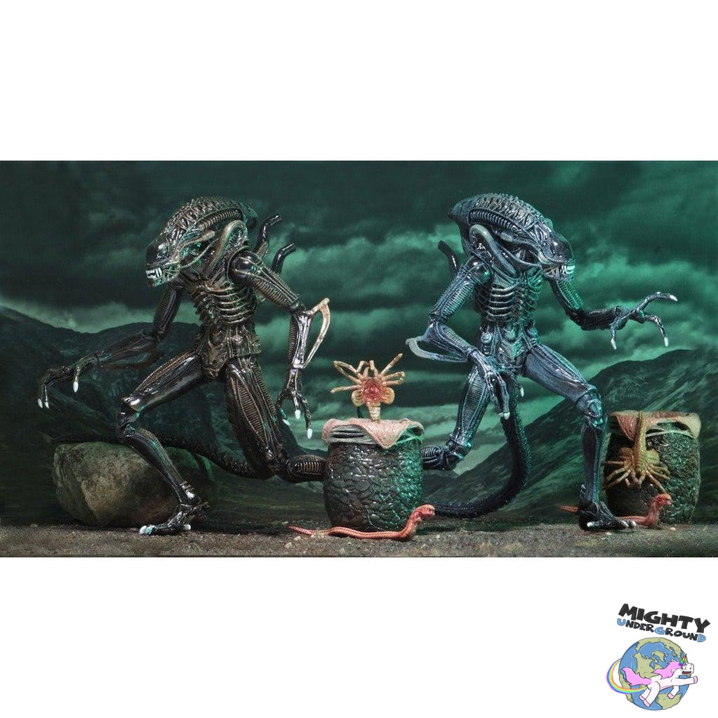 Aliens: Ultimate Warrior (Blue)-Actionfiguren-NECA-Mighty Underground