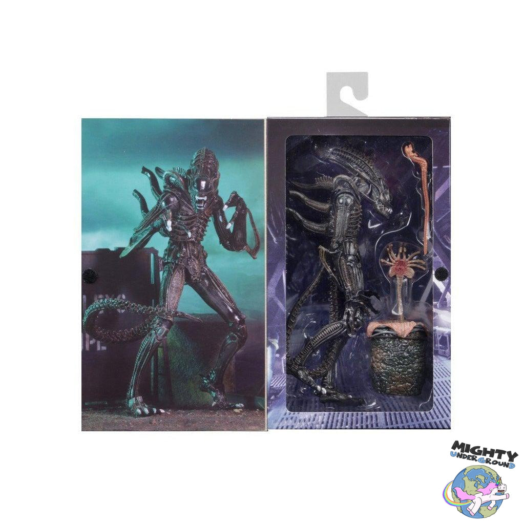 Aliens: Ultimate Warrior (Brown)-Actionfiguren-NECA-Mighty Underground