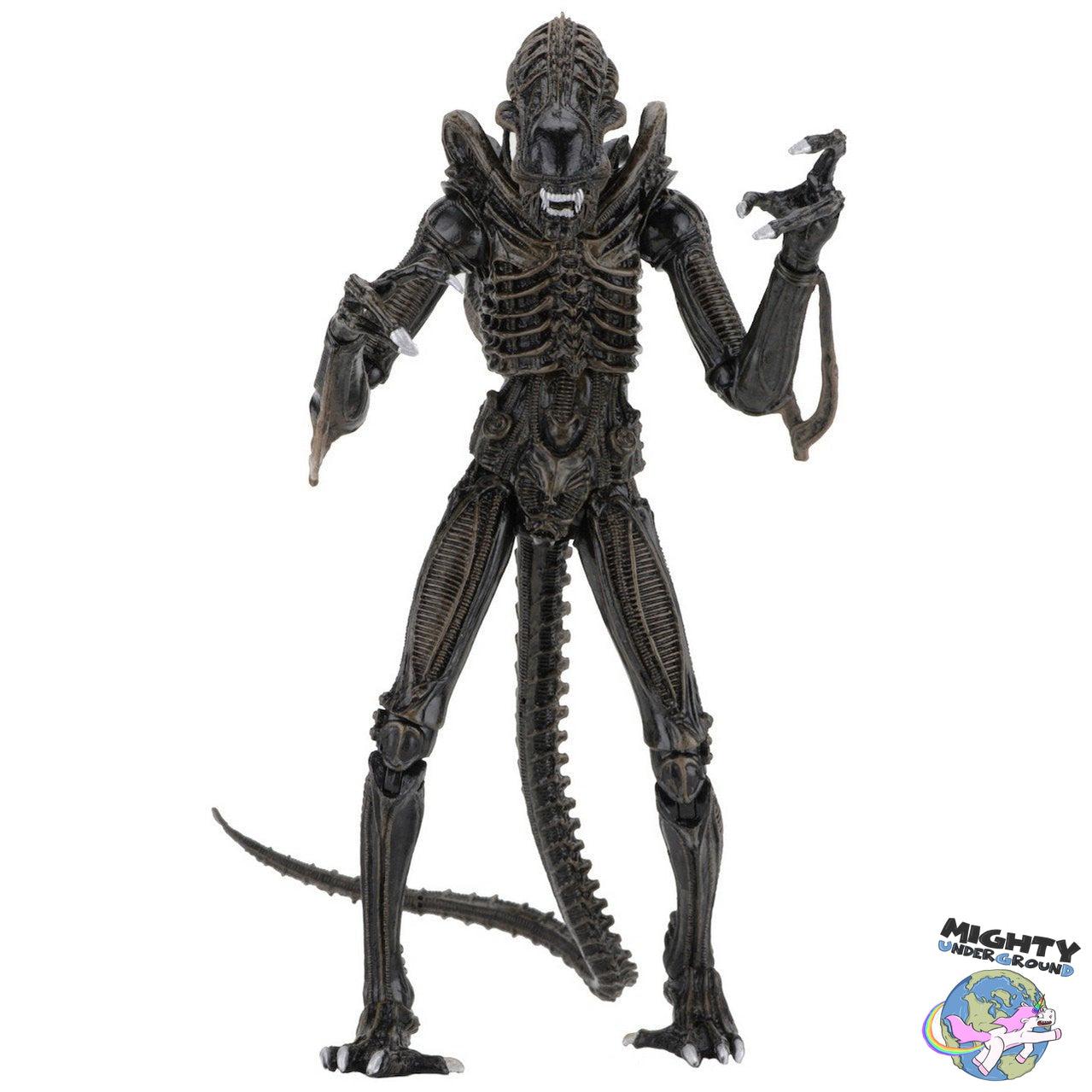 Aliens: Ultimate Warrior (Brown)-Actionfiguren-NECA-Mighty Underground