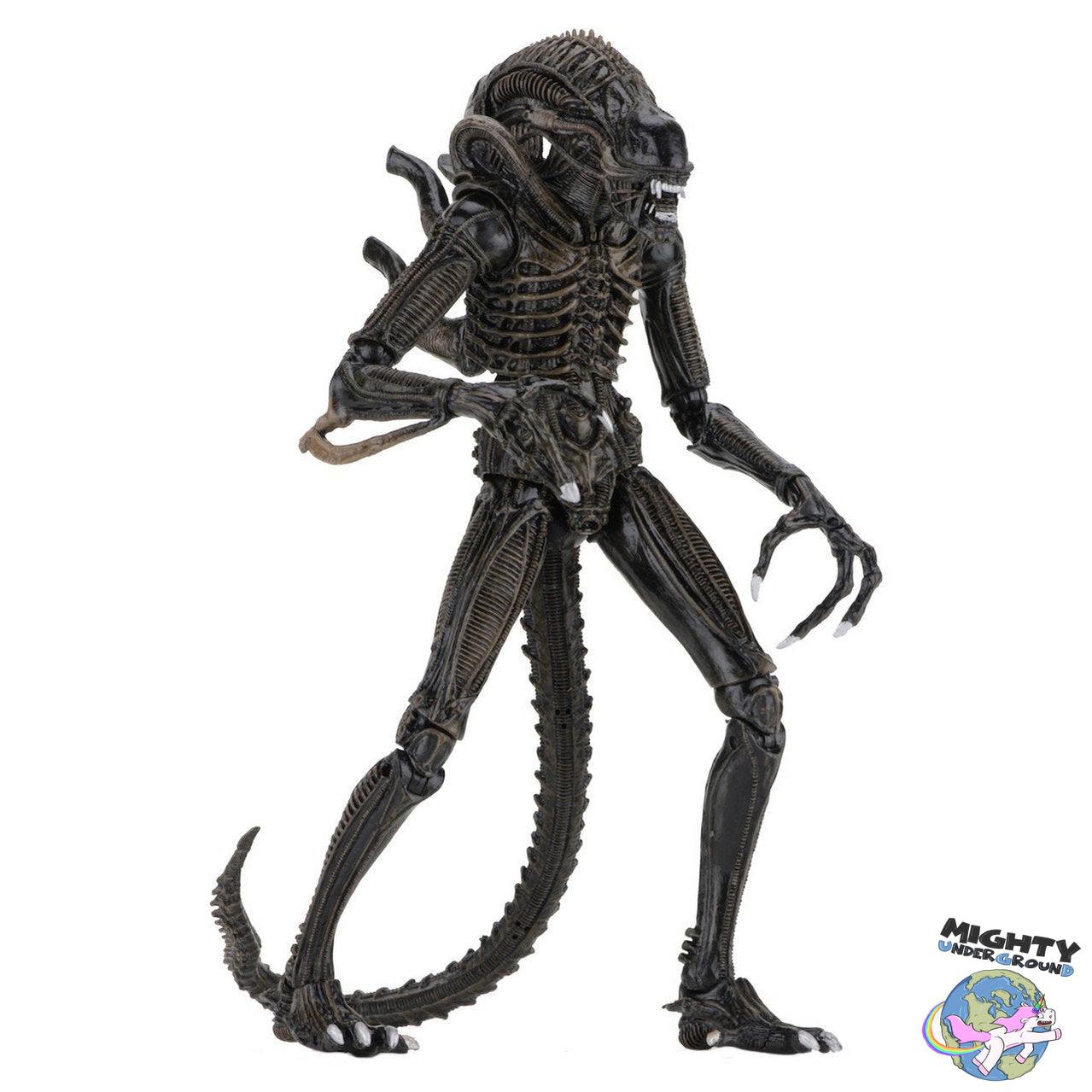 Aliens: Ultimate Warrior (Brown)-Actionfiguren-NECA-Mighty Underground