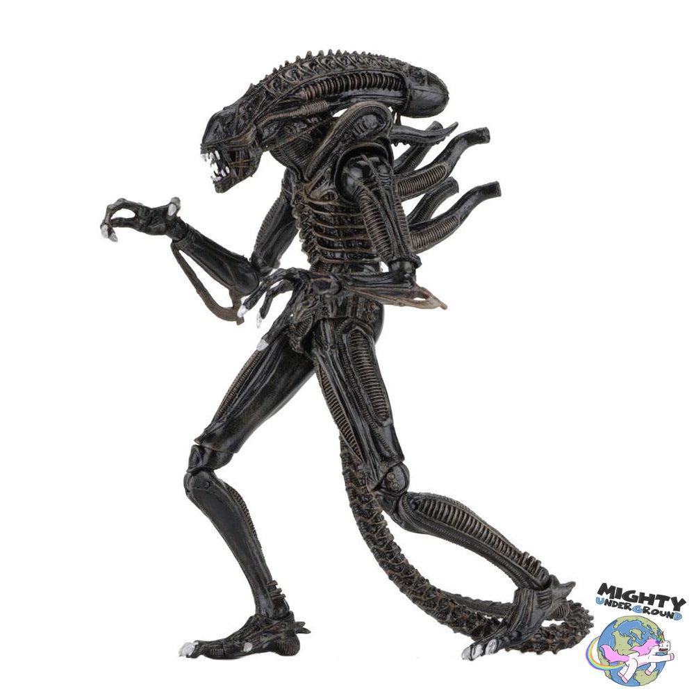 Aliens: Ultimate Warrior (Brown)-Actionfiguren-NECA-Mighty Underground