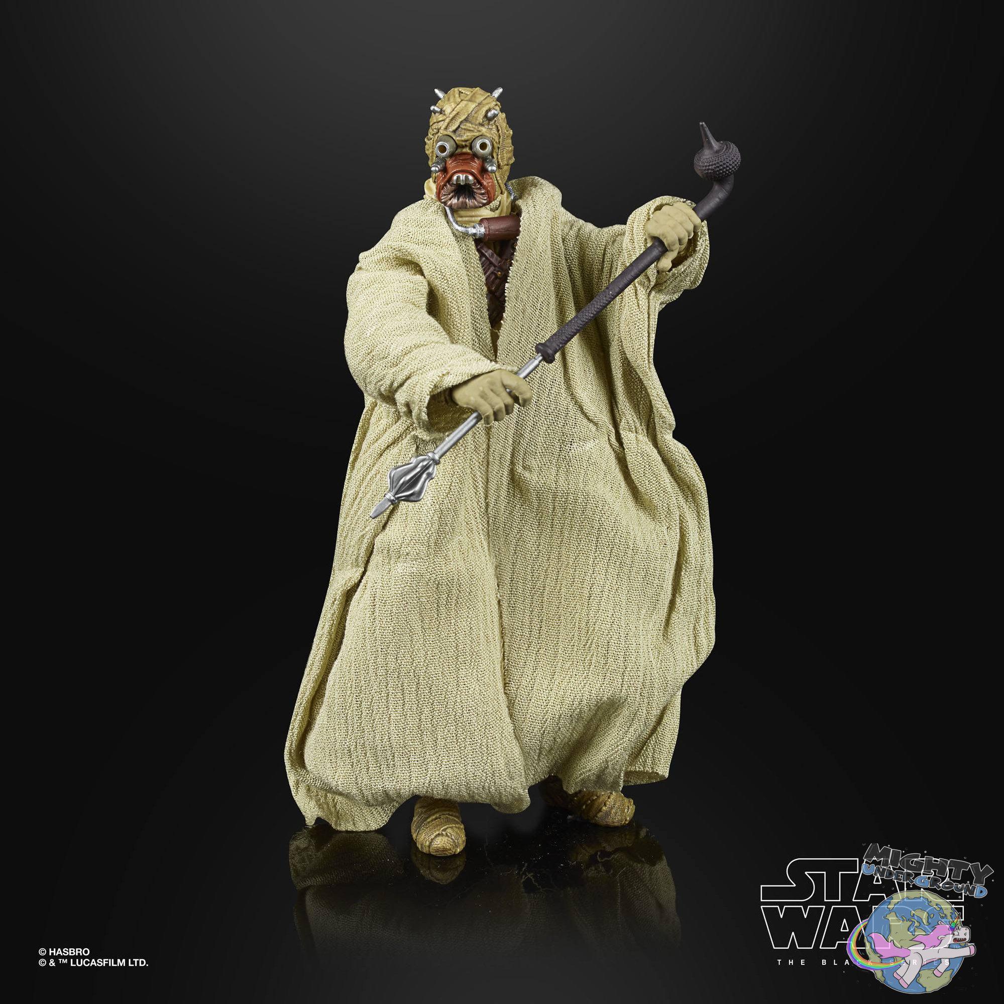 Star Wars Black Series Archive: 2021 Wave 2 (50th Anniversary)-Actionfiguren-Hasbro-Mighty Underground