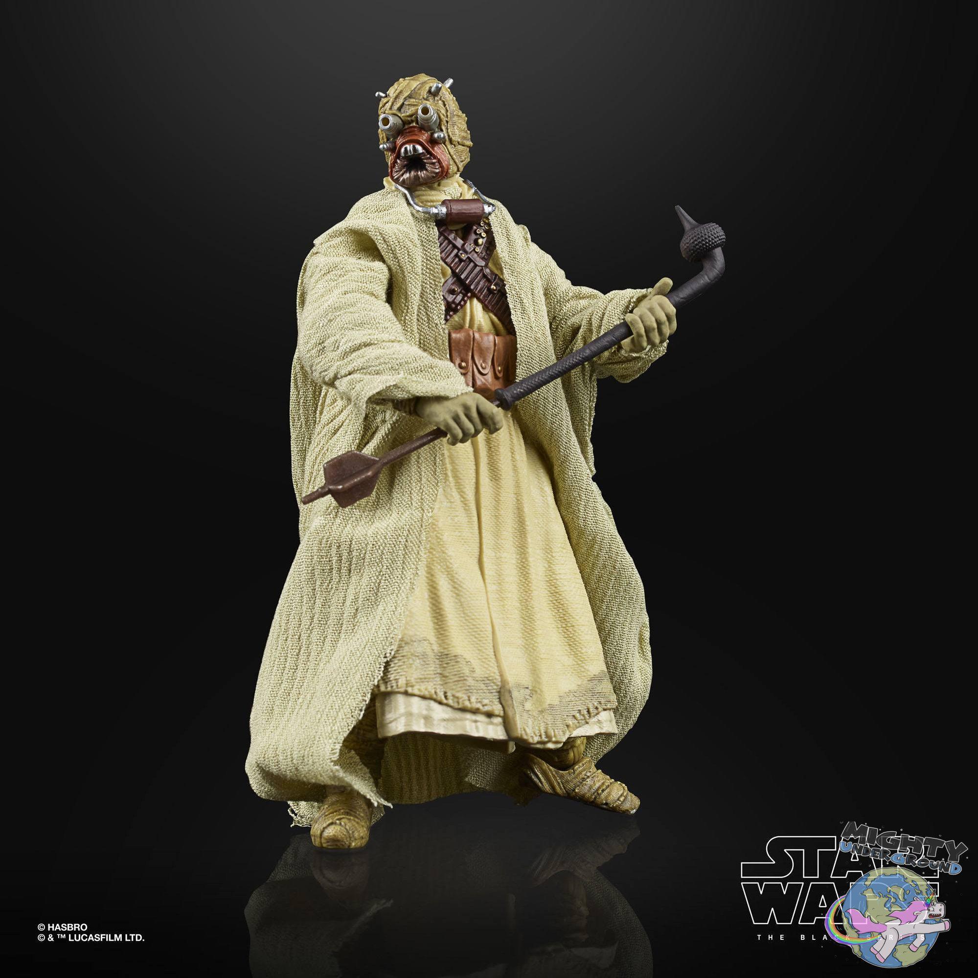 Star Wars Black Series Archive: 2021 Wave 2 (50th Anniversary)-Actionfiguren-Hasbro-Mighty Underground