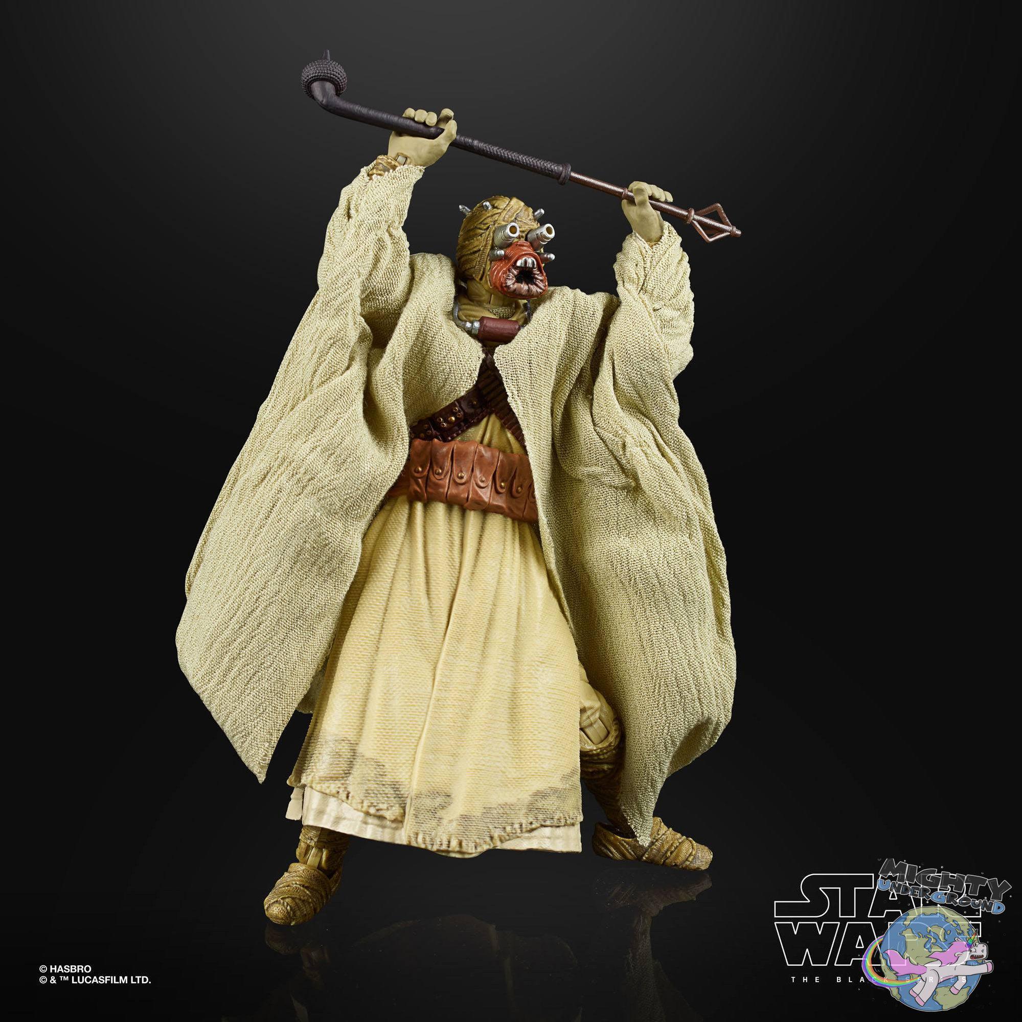 Star Wars Black Series Archive: 2021 Wave 2 (50th Anniversary)-Actionfiguren-Hasbro-Mighty Underground