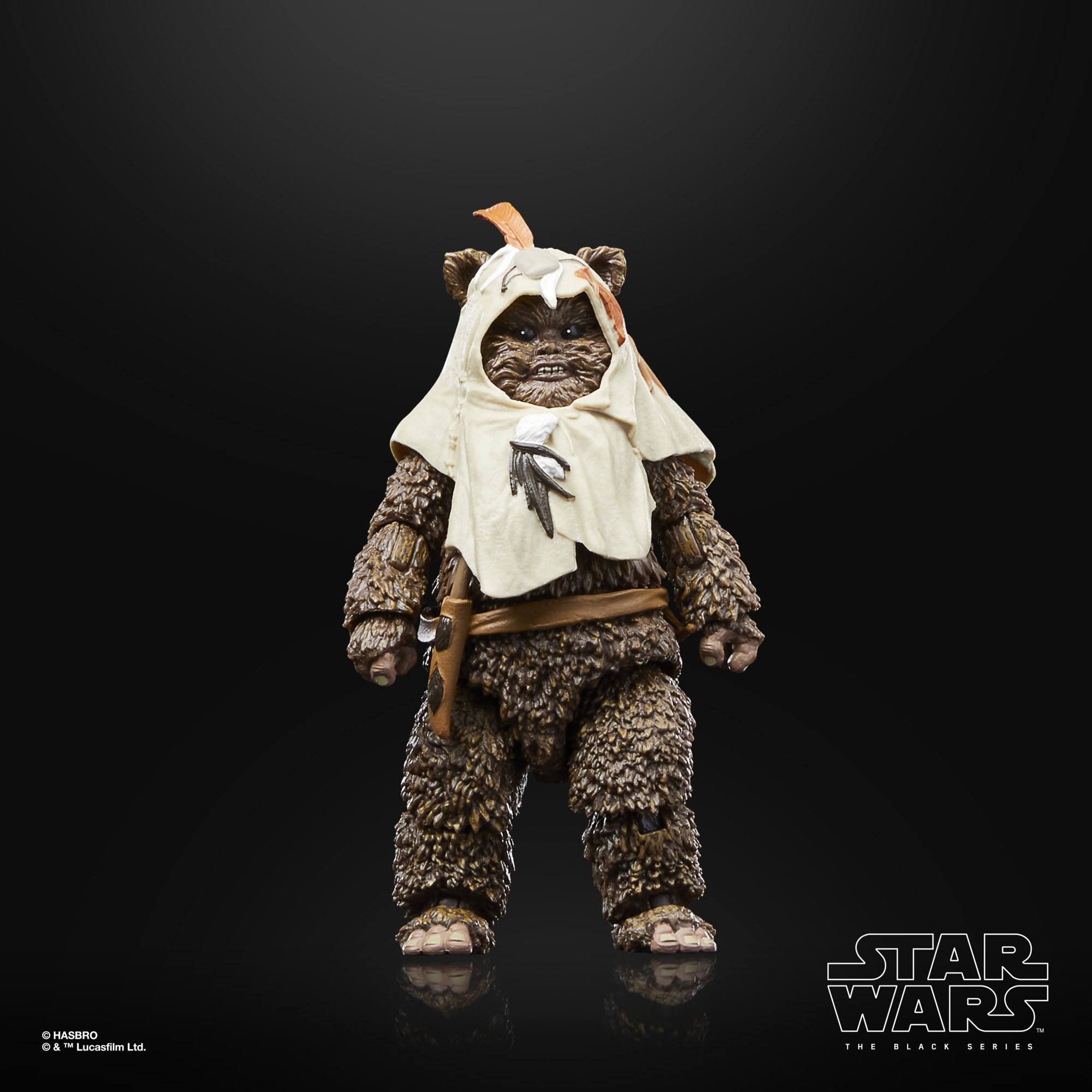 Star Wars Black Series: Paploo (Ep VI, 40th Anniv.)-Actionfiguren-Hasbro-Mighty Underground