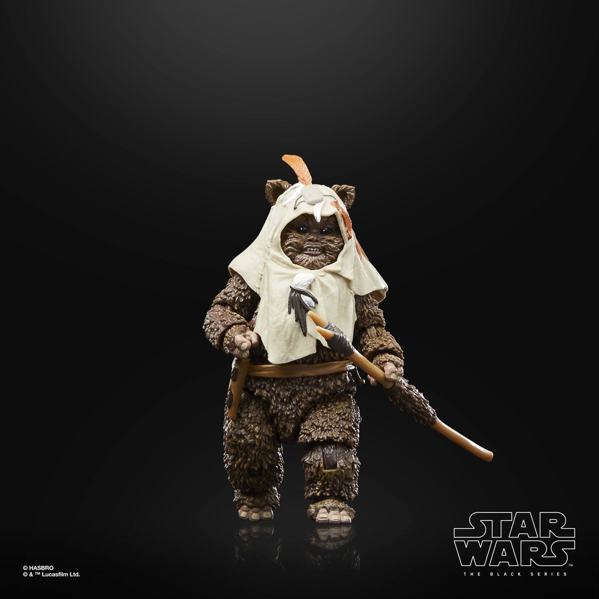 Star Wars Black Series: Paploo (Ep VI, 40th Anniv.)-Actionfiguren-Hasbro-Mighty Underground