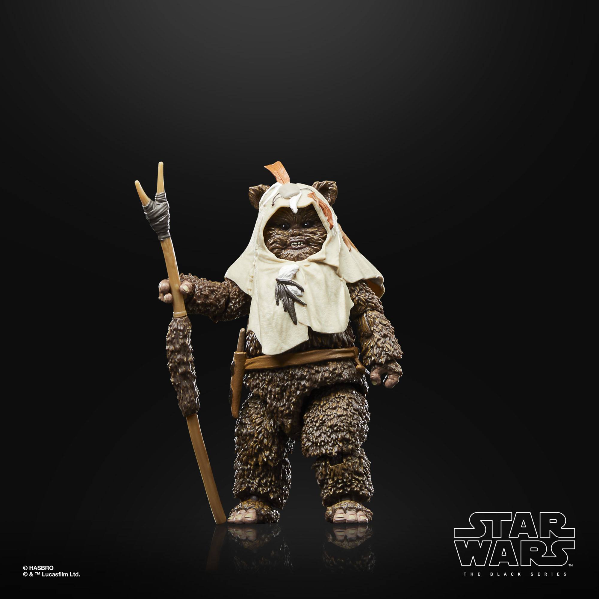 Star Wars Black Series: Paploo (Ep VI, 40th Anniv.)-Actionfiguren-Hasbro-Mighty Underground