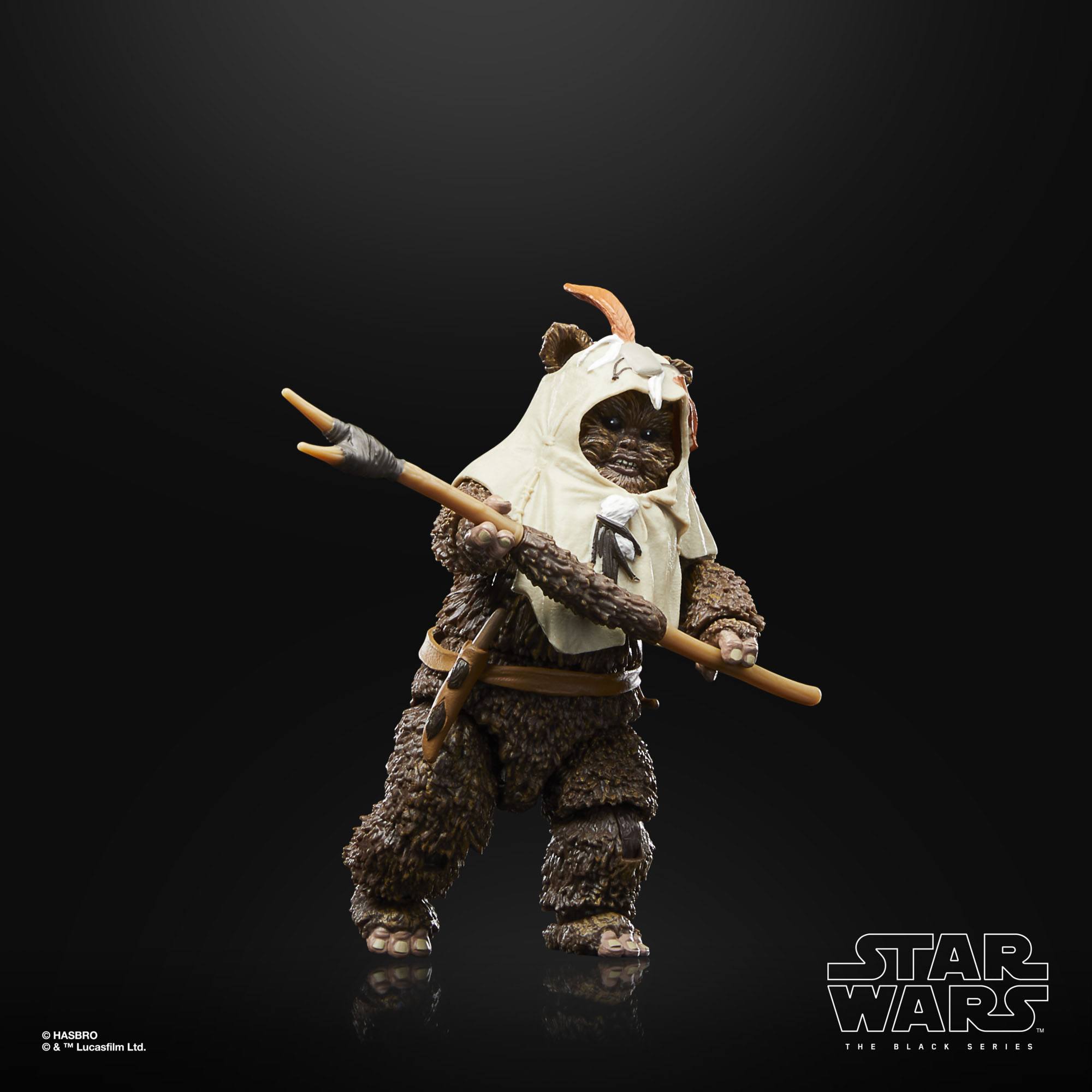 Star Wars Black Series: Paploo (Ep VI, 40th Anniv.)-Actionfiguren-Hasbro-Mighty Underground