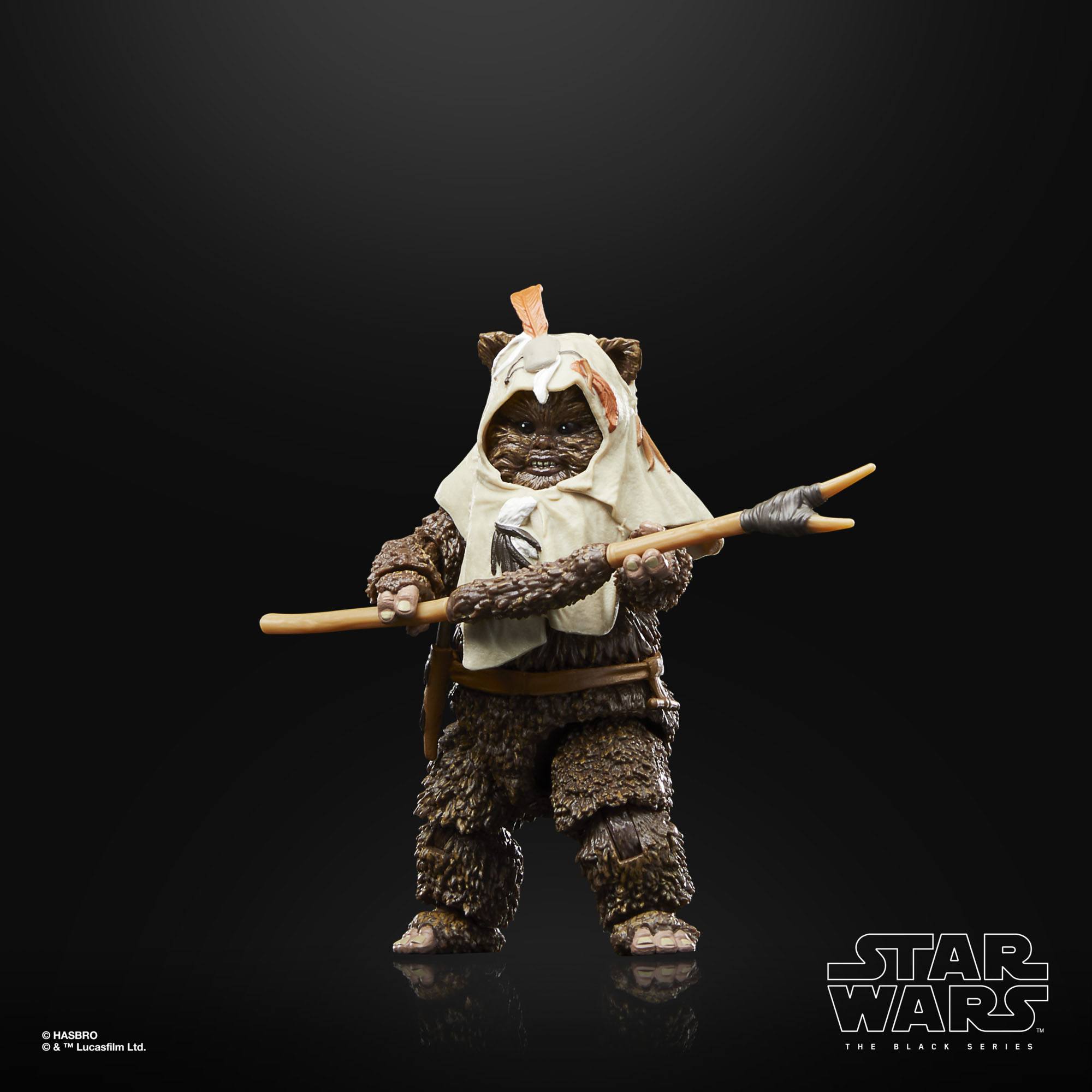 Star Wars Black Series: Paploo (Ep VI, 40th Anniv.)-Actionfiguren-Hasbro-Mighty Underground