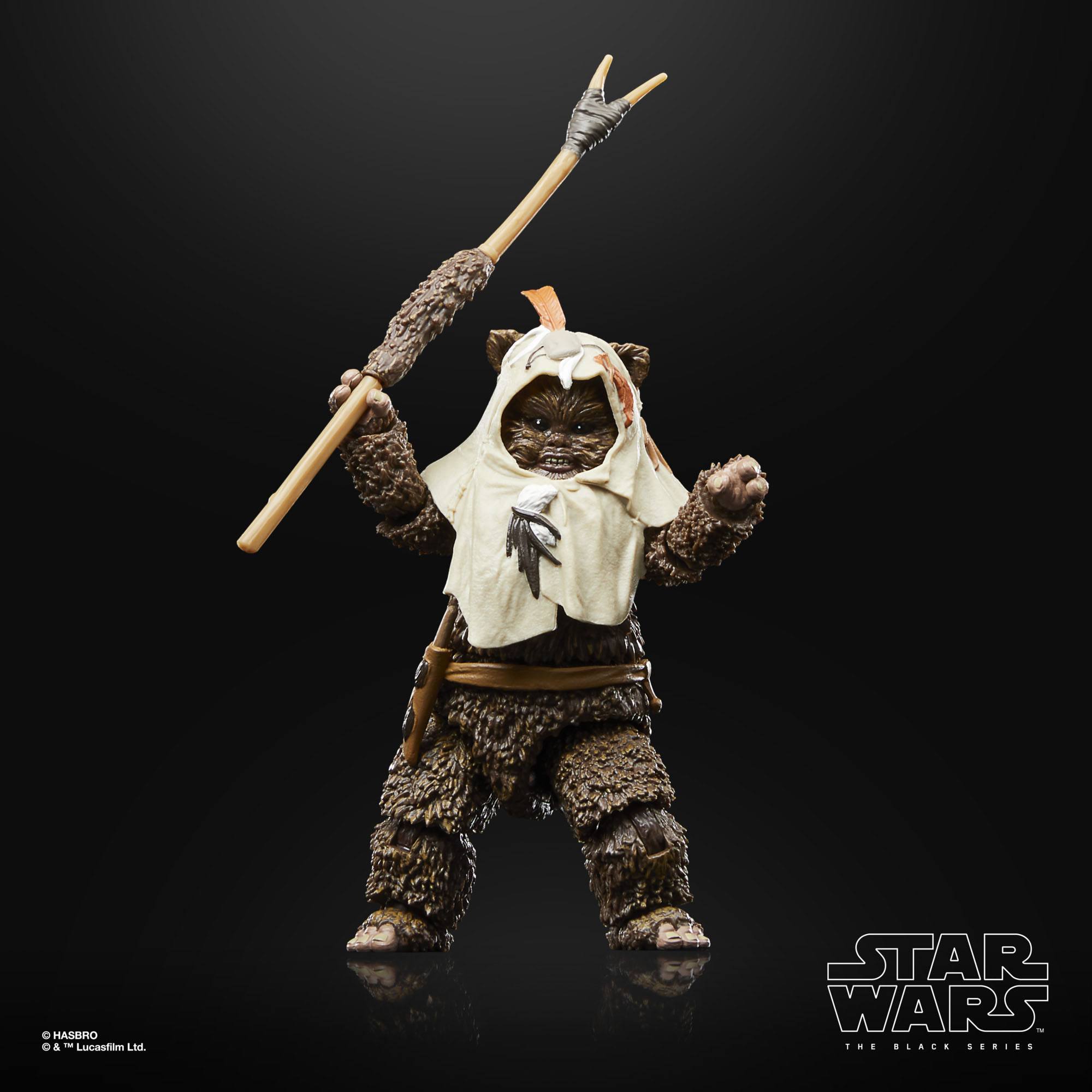 Star Wars Black Series: Paploo (Ep VI, 40th Anniv.)-Actionfiguren-Hasbro-Mighty Underground