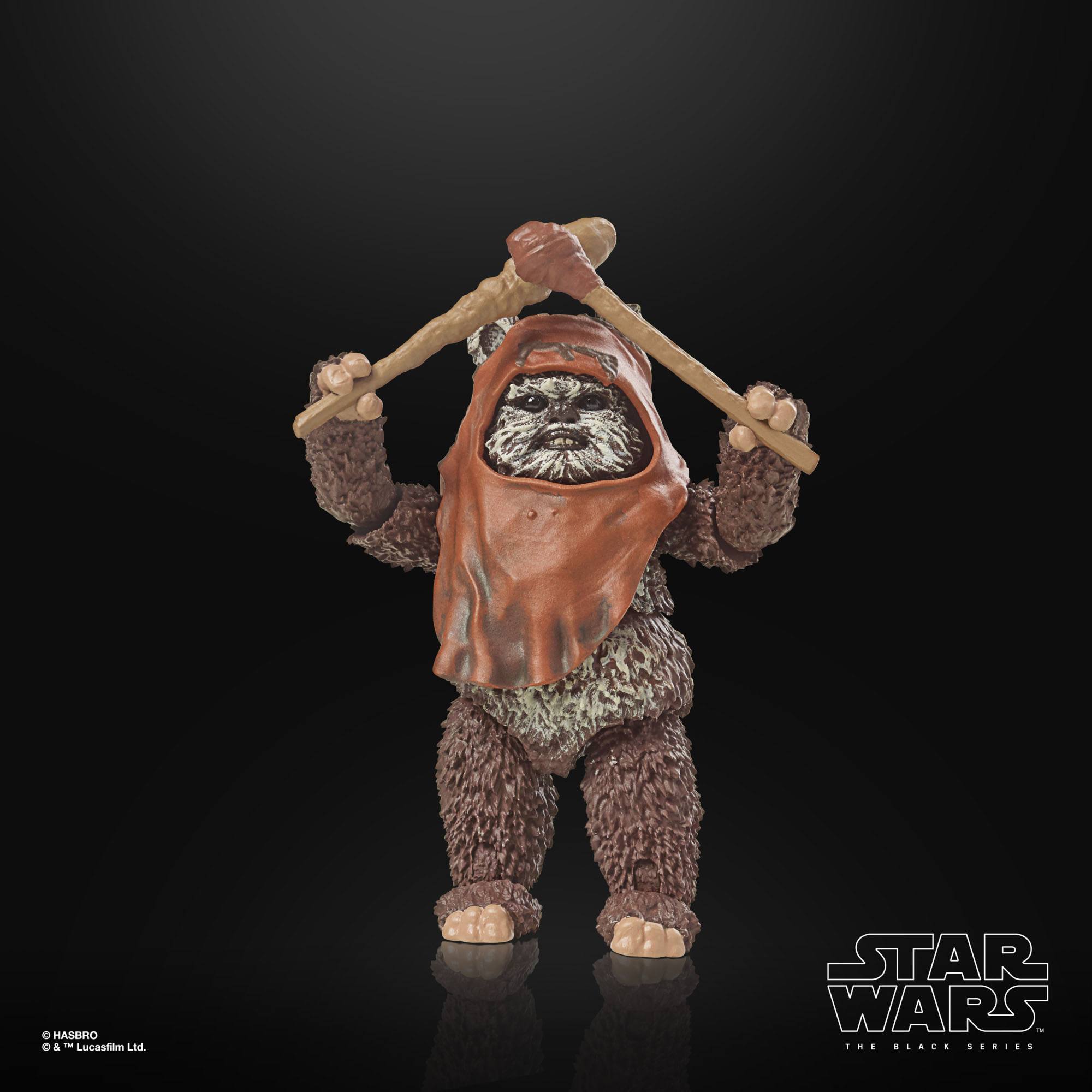 Star Wars Black Series: Wicket (Ep VI; 40th Anniversary)-Actionfiguren-Hasbro-Mighty Underground