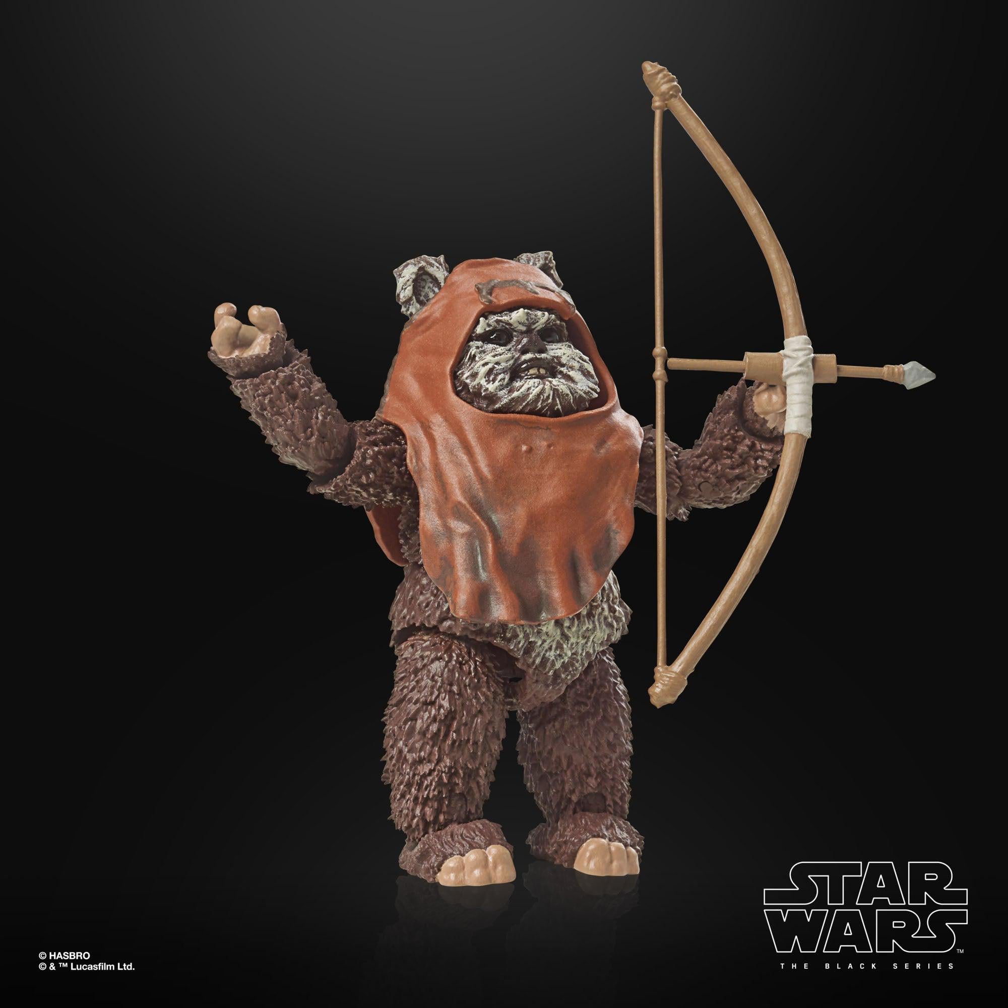 Star Wars Black Series: Wicket (Ep VI; 40th Anniversary)-Actionfiguren-Hasbro-Mighty Underground