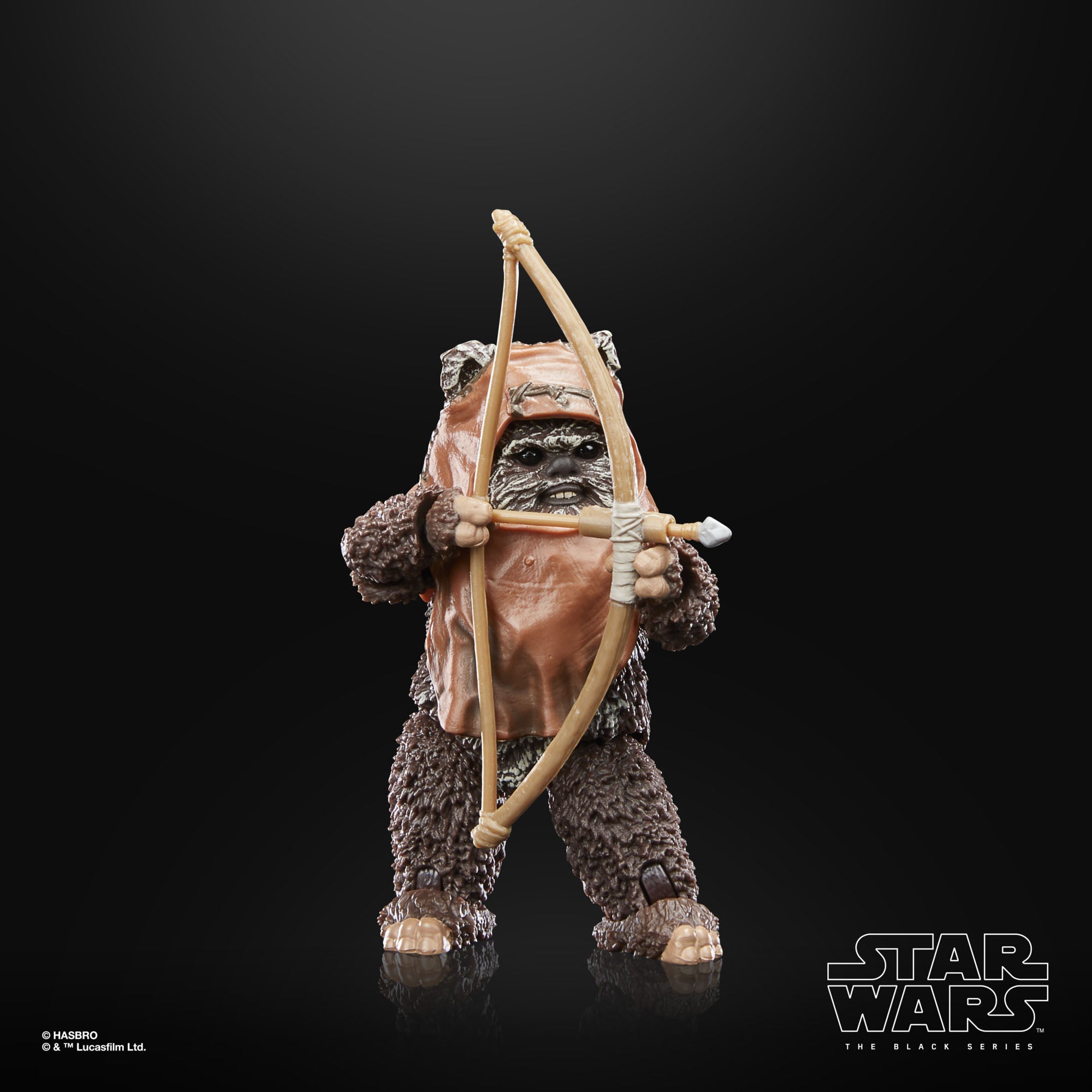 Star Wars Black Series: Wicket (Ep VI; 40th Anniversary)-Actionfiguren-Hasbro-Mighty Underground