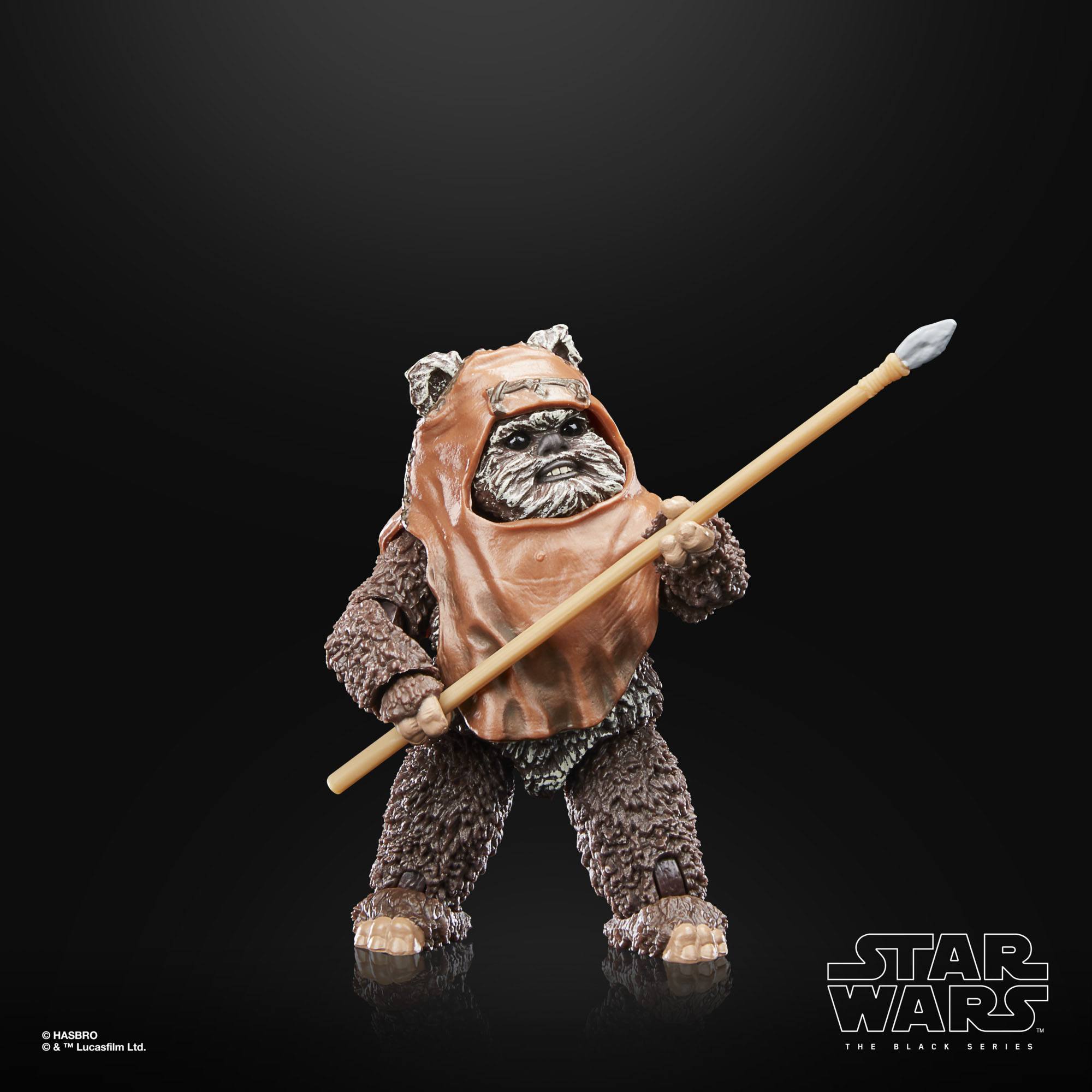 Star Wars Black Series: Wicket (Ep VI; 40th Anniversary)-Actionfiguren-Hasbro-Mighty Underground