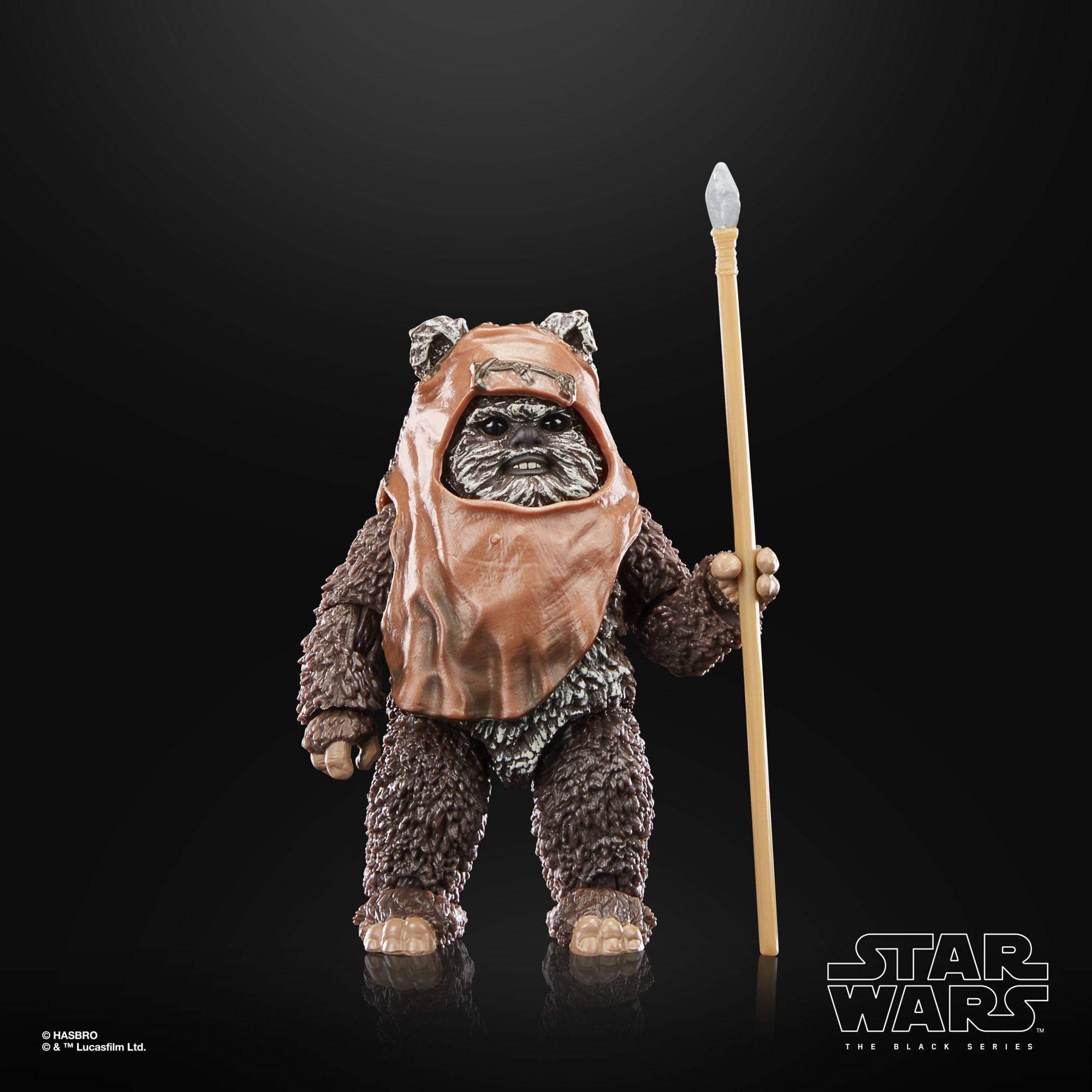 Star Wars Black Series: Wicket (Ep VI; 40th Anniversary)-Actionfiguren-Hasbro-Mighty Underground