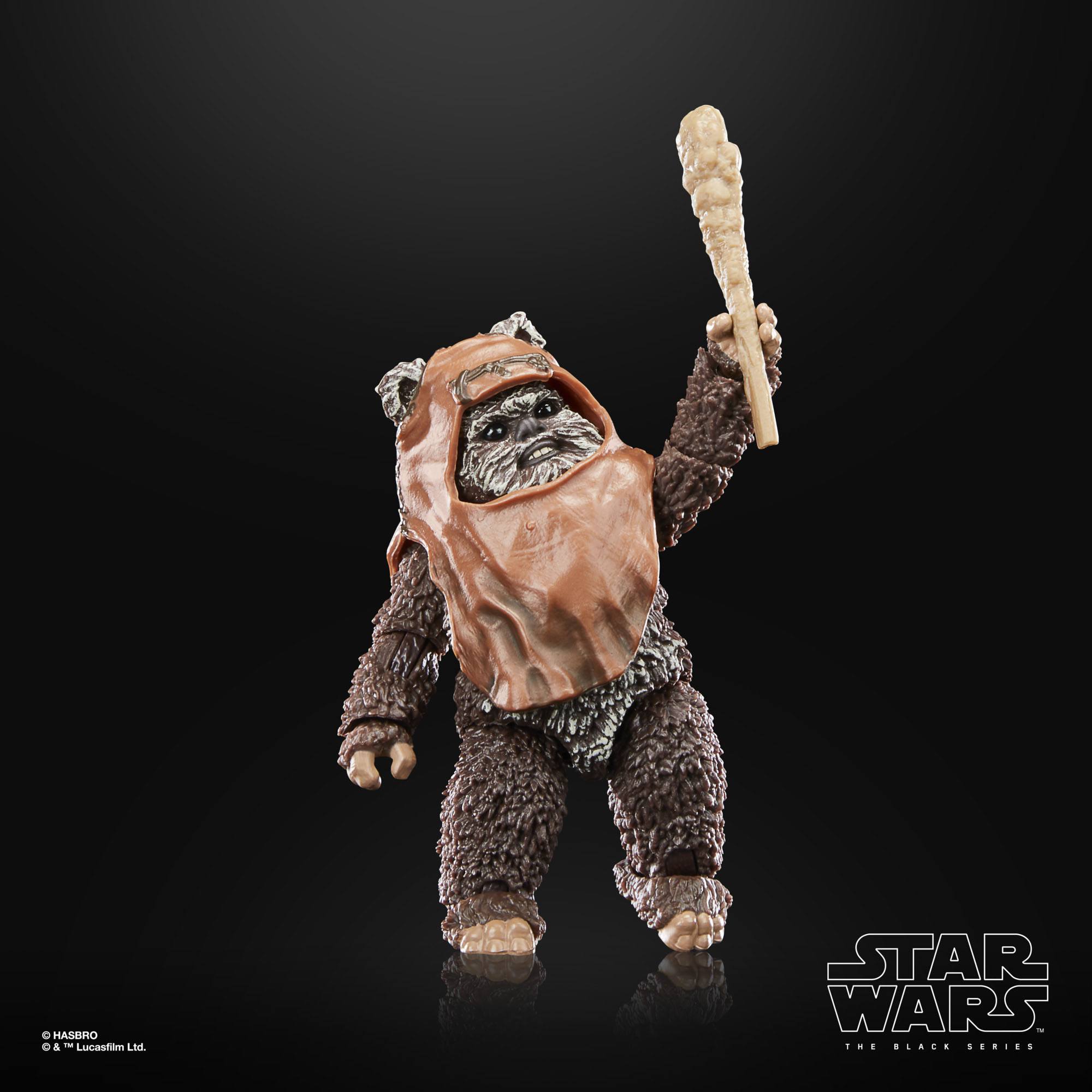 Star Wars Black Series: Wicket (Ep VI; 40th Anniversary)-Actionfiguren-Hasbro-Mighty Underground