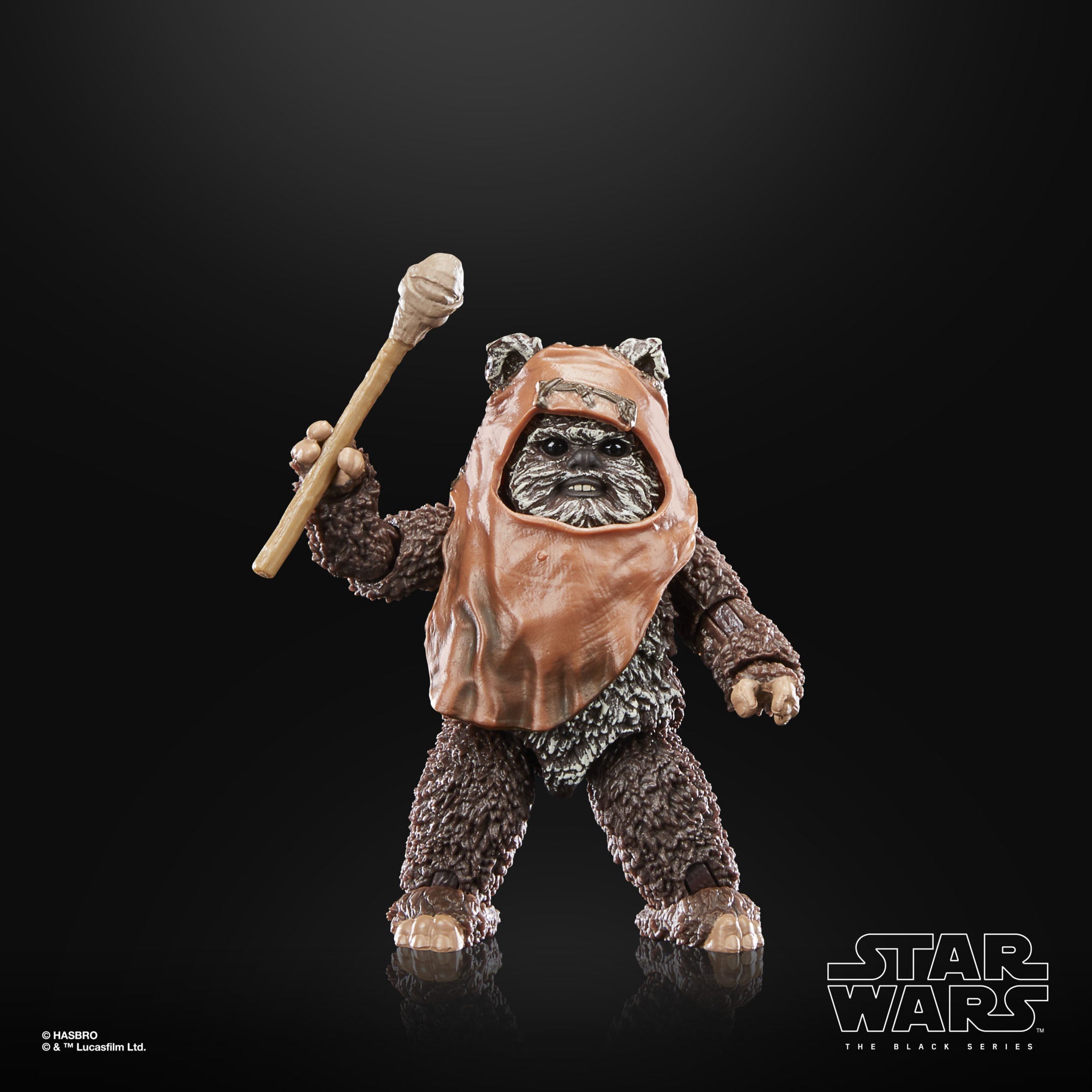 Star Wars Black Series: Wicket (Ep VI; 40th Anniversary)-Actionfiguren-Hasbro-Mighty Underground