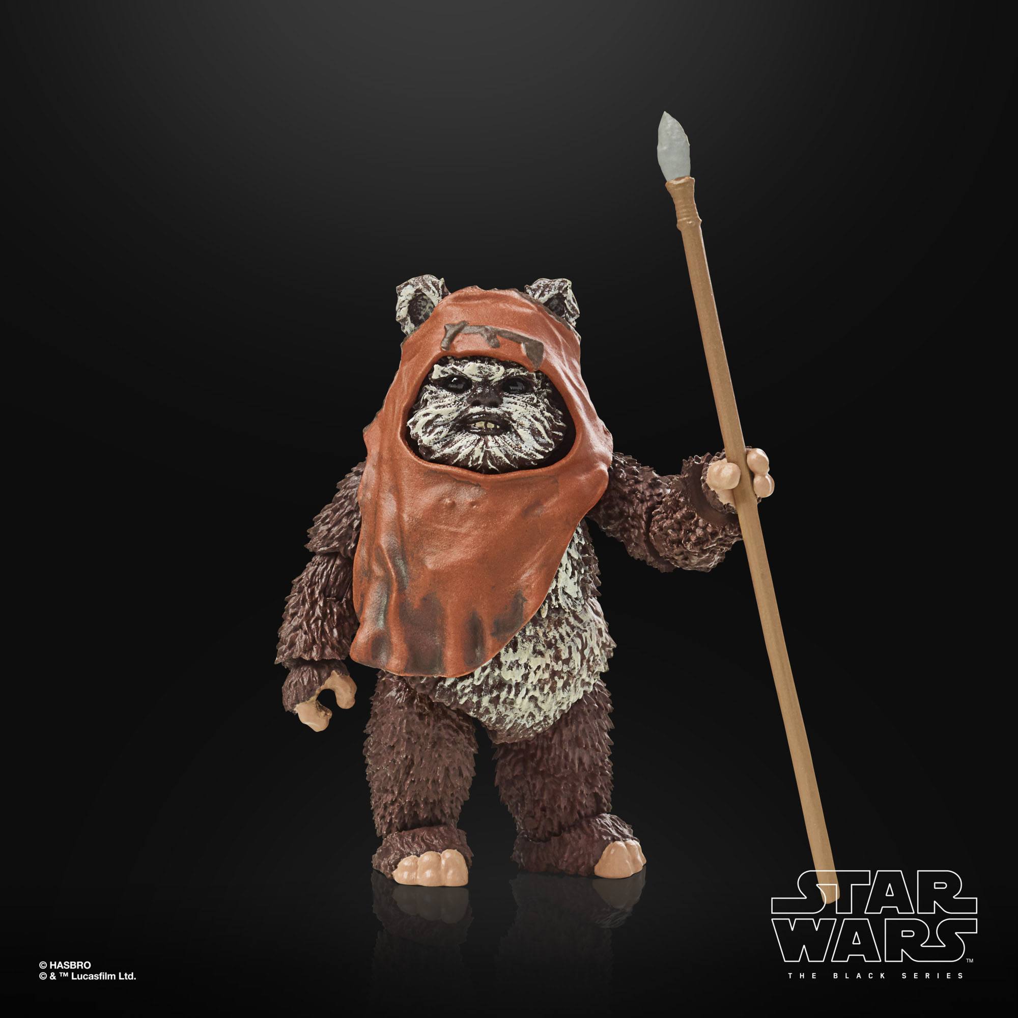 Star Wars Black Series: Wicket (Ep VI; 40th Anniversary)-Actionfiguren-Hasbro-Mighty Underground