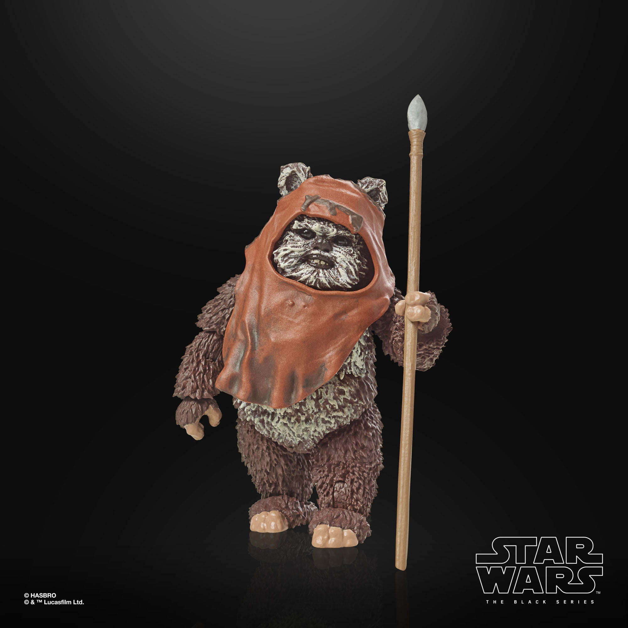 Star Wars Black Series: Wicket (Ep VI; 40th Anniversary)-Actionfiguren-Hasbro-Mighty Underground