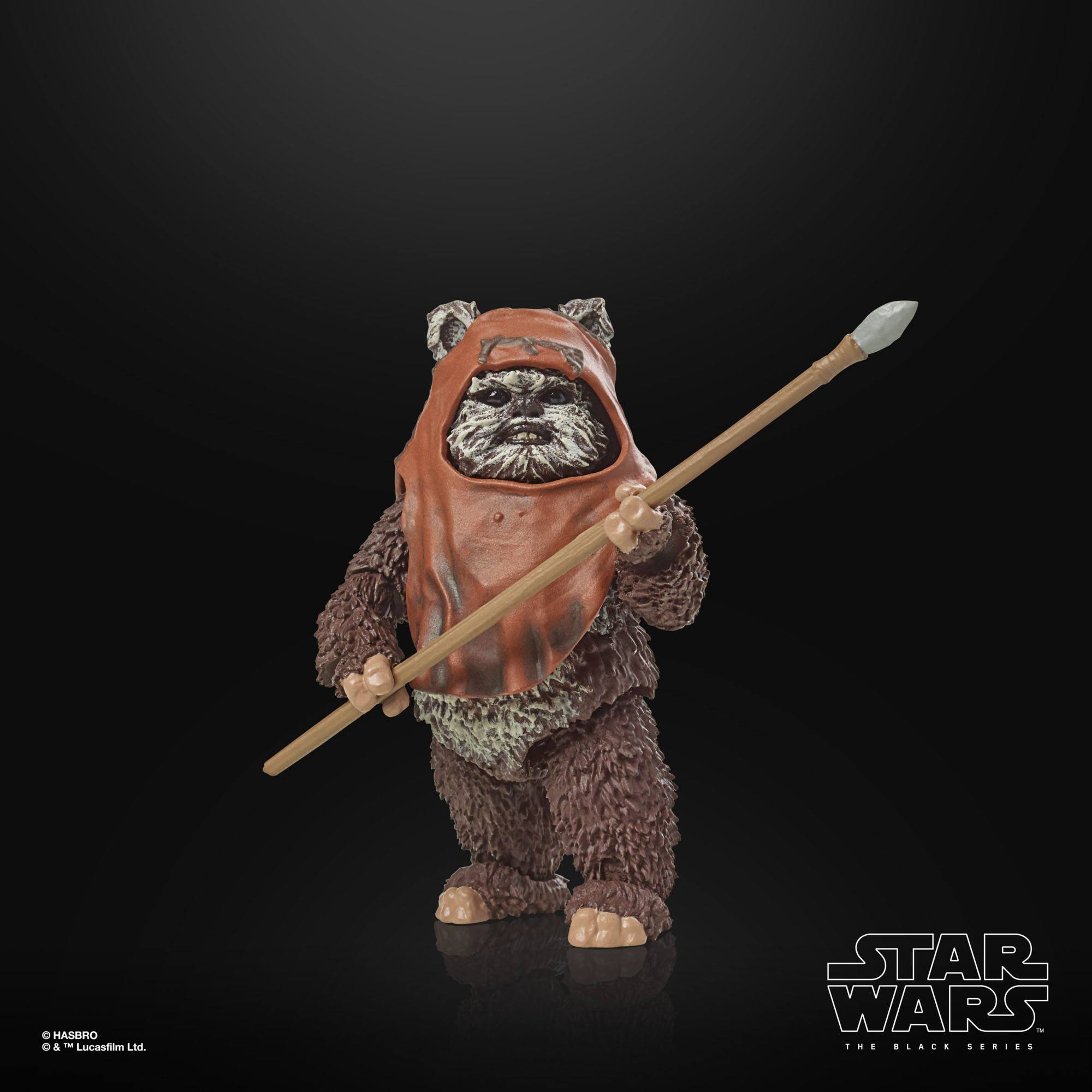 Star Wars Black Series: Wicket (Ep VI; 40th Anniversary)-Actionfiguren-Hasbro-Mighty Underground