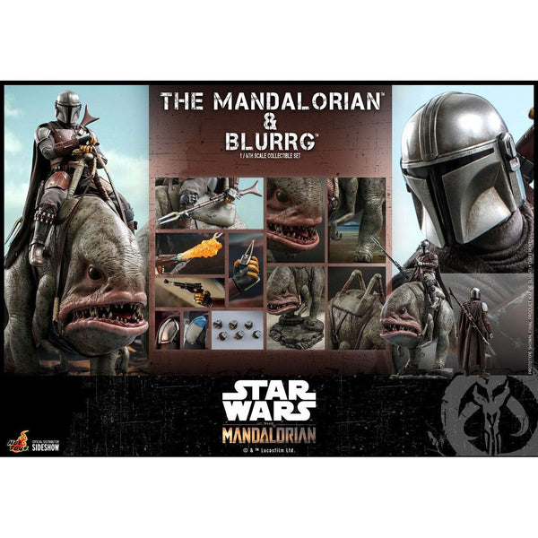 Star Wars: The Mandalorian & Blurrg Set 1/6-Actionfiguren-Hot Toys-Mighty Underground