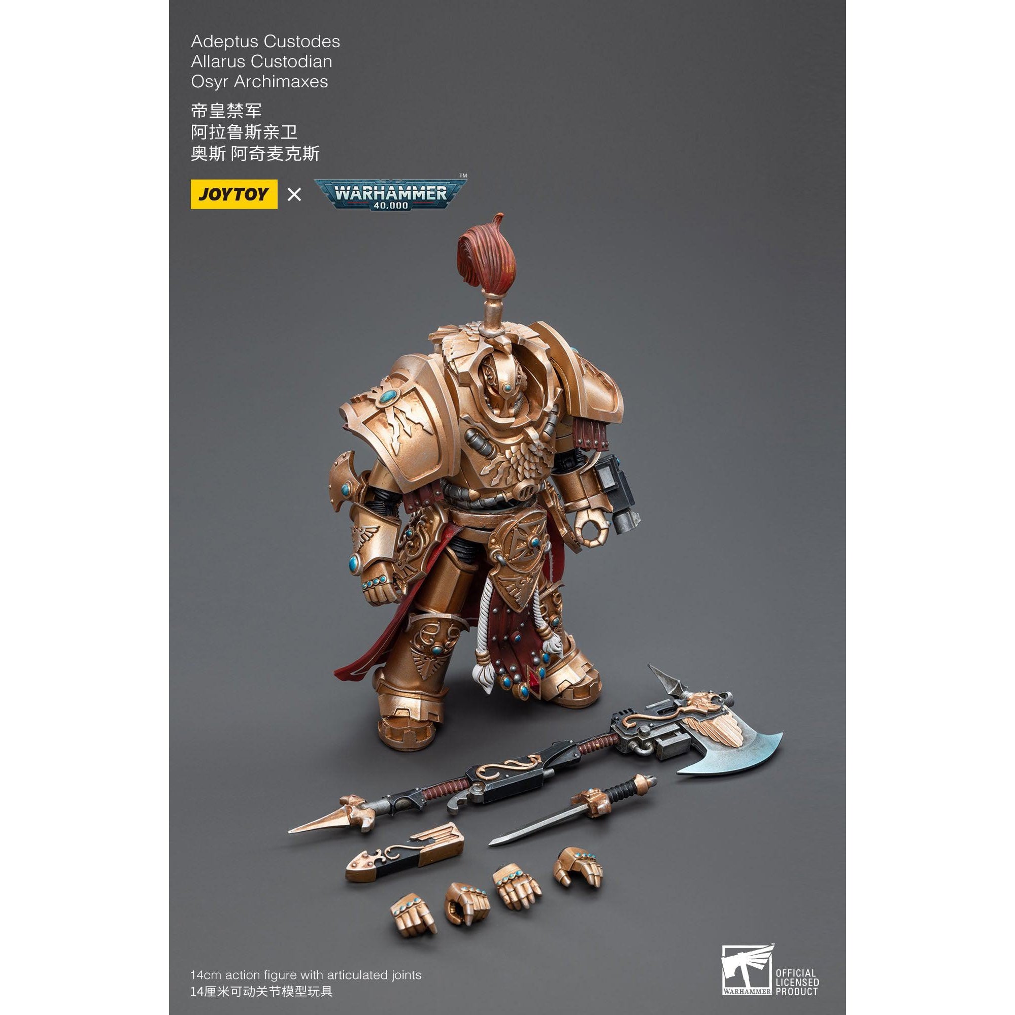 Warhammer 40k: Adeptus Custodes Allarus Custodian Osyr Archimaxes Allarus Terminator Armour - 12 cm-Actionfiguren-JoyToy-Mighty Underground