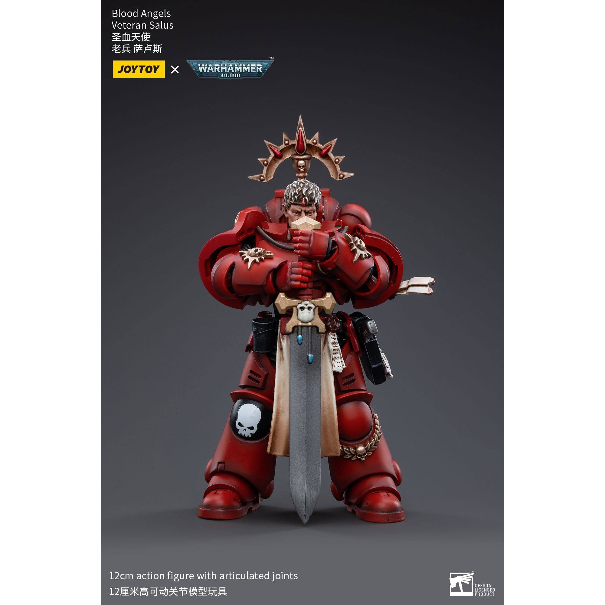 Warhammer 40k: Blood Angels Veteran Salus - 12 cm-Actionfiguren-JoyToy-Mighty Underground