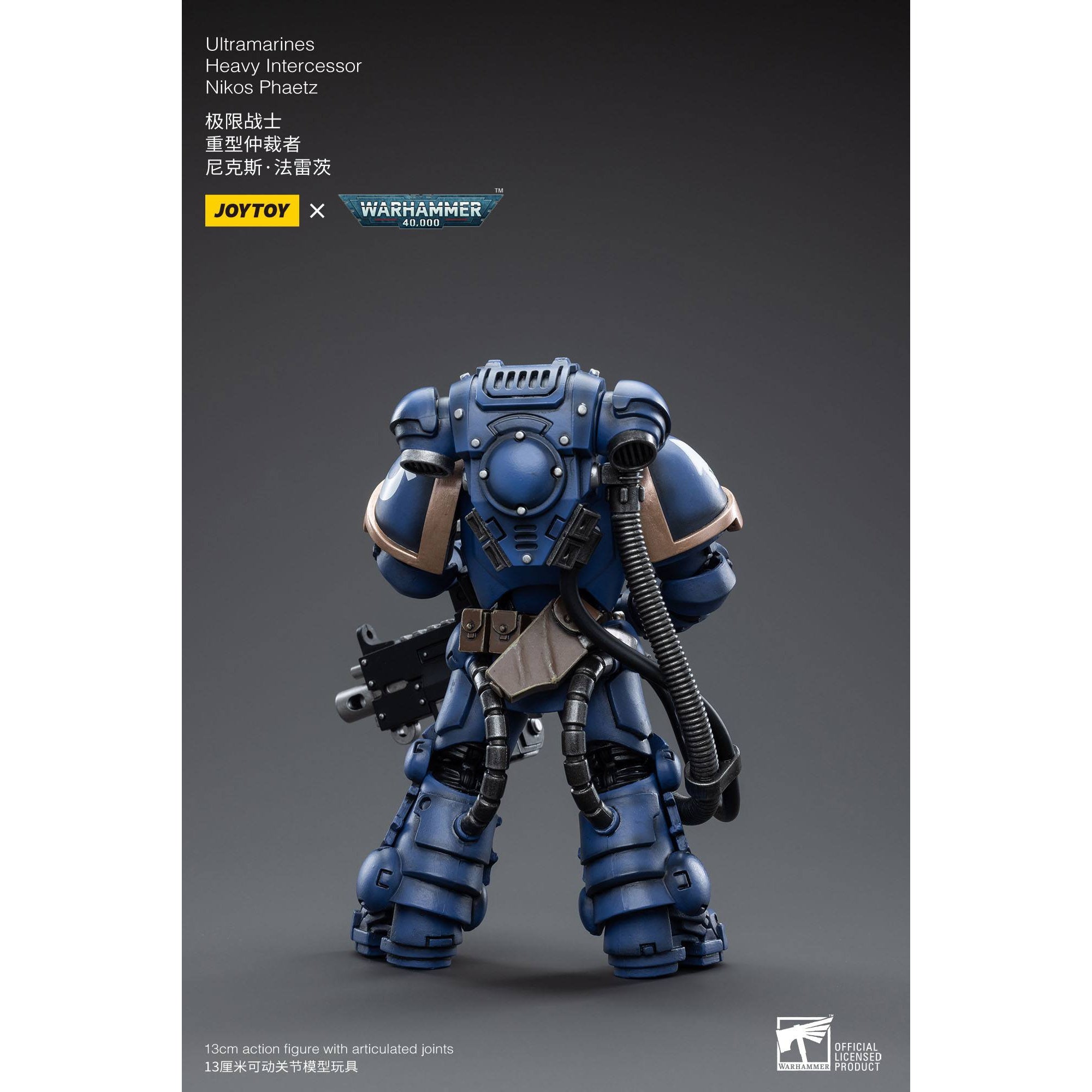 Warhammer 40k: Ultramarines Heavy Intercessor Nikos Phaetz - 12 cm-Actionfiguren-JoyToy-Mighty Underground